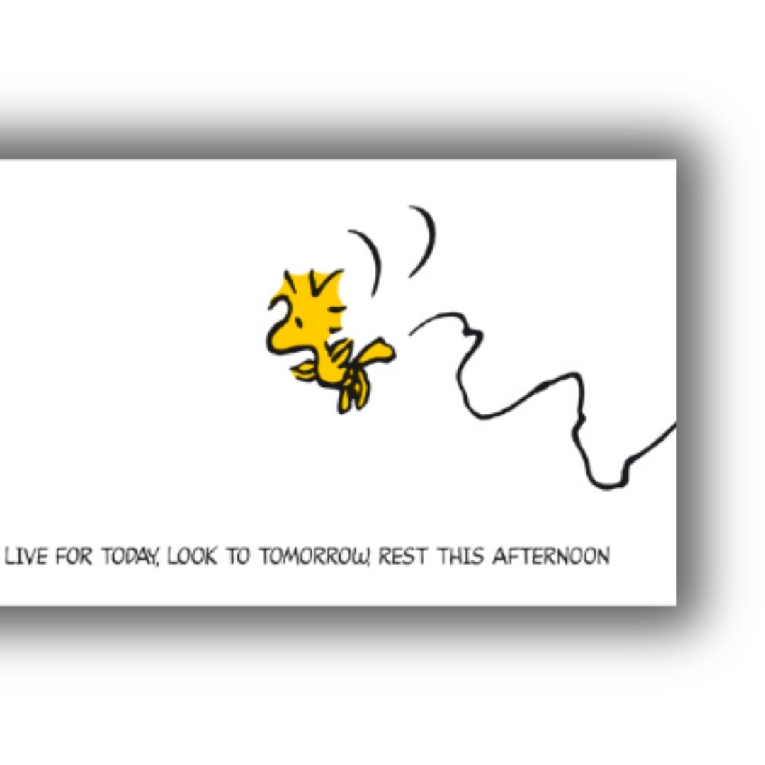 Snoopy seduto sulla sua cuccia, contempla la vita, con una bolla di citazione in italiano e inglese che riflette sull'imparare da ieri, vivere per oggi e restare nel pomeriggio. Dettaglio a destra