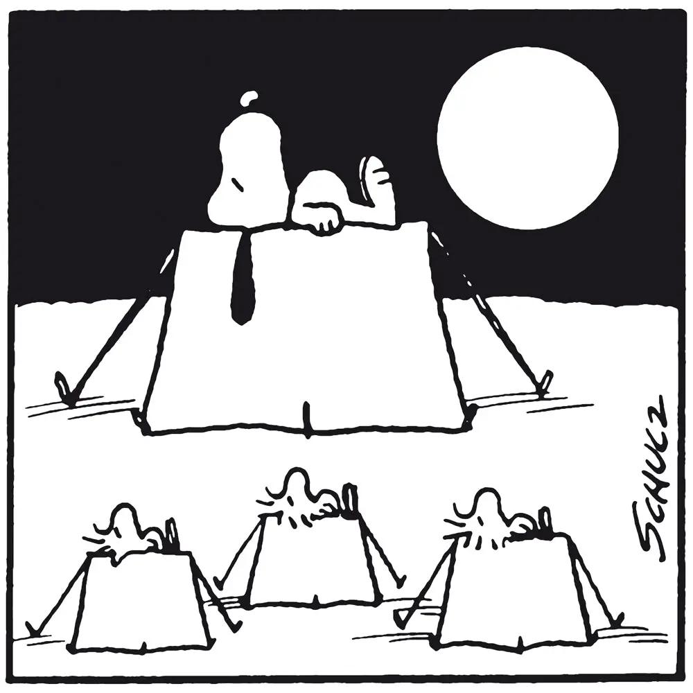Snoopy e amici campeggiano sotto la luna