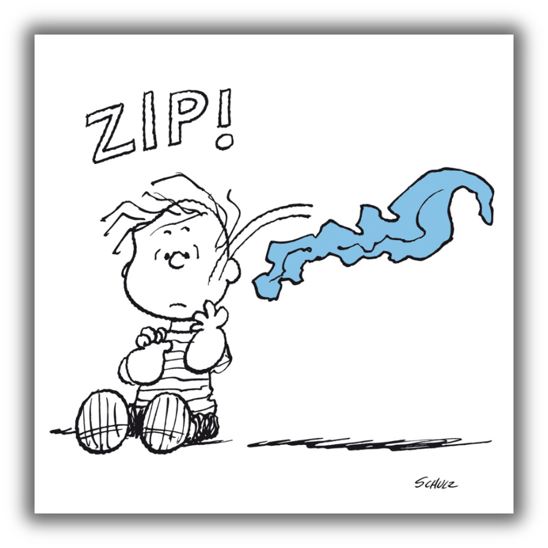 Il Quadro Linus, Zip! mostra Linus con una espressione sorpresa mentre qualcosa sfreccia sopra di lui, con la parola "ZIP!" in alto e un tratto di colore blu che rappresenta il movimento improvviso.