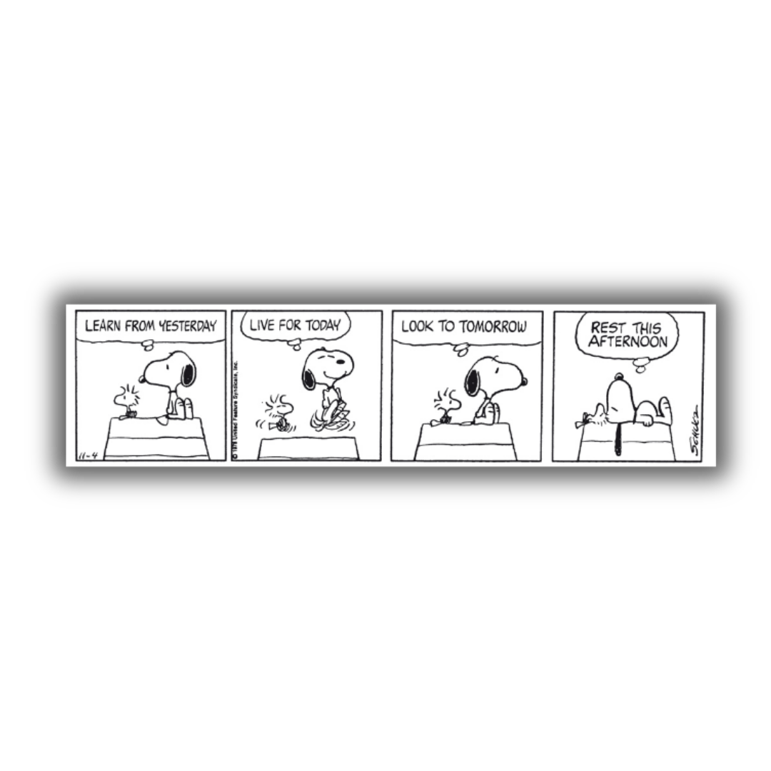 Quadro Striscia comica in bianco e nero "SNOOPY Learn from yesterday..." con Snoopy che insegna a imparare dal passato, vivere il presente, guardare al futuro e riposare.