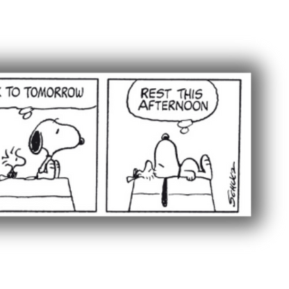 Dettaglio Striscia comica in bianco e nero "SNOOPY Learn from yesterday..." con Snoopy che insegna a imparare dal passato, vivere il presente, guardare al futuro e riposare.