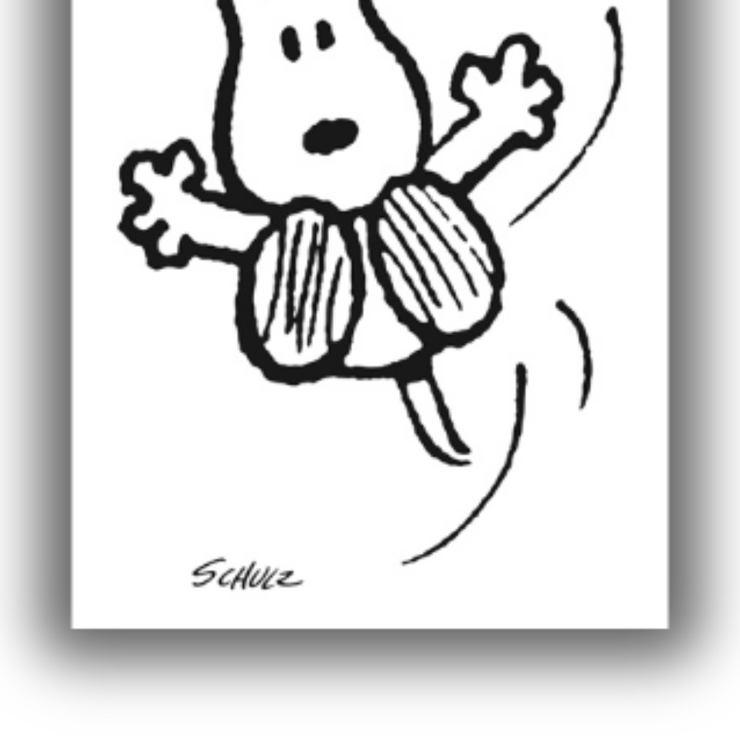 Dettaglio di "SNOOPY che vola" di Charles Schulz, con sfondo bianco, mostra Snoopy in diverse pose aeree.
